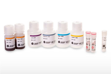 Analizador de composición corporal EchoMRI Analizador para Animales Pequeños y Órganos