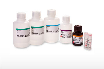 Analizador de composición corporal EchoMRI Analizador 3 en 1: para ratones vivos, órganos y biopsias.