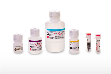 Analizador de composición corporal EchoMRI Analizador 4 en 1: para ratones, ratas, órganos y biopsias.