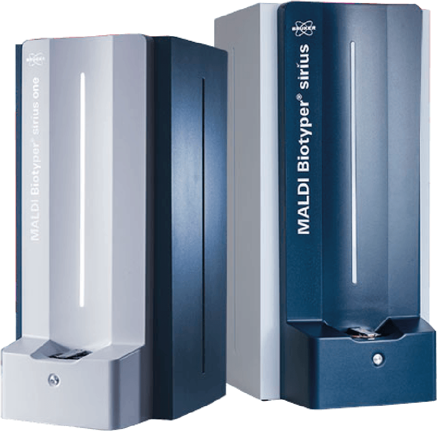 MALDI Biotyper