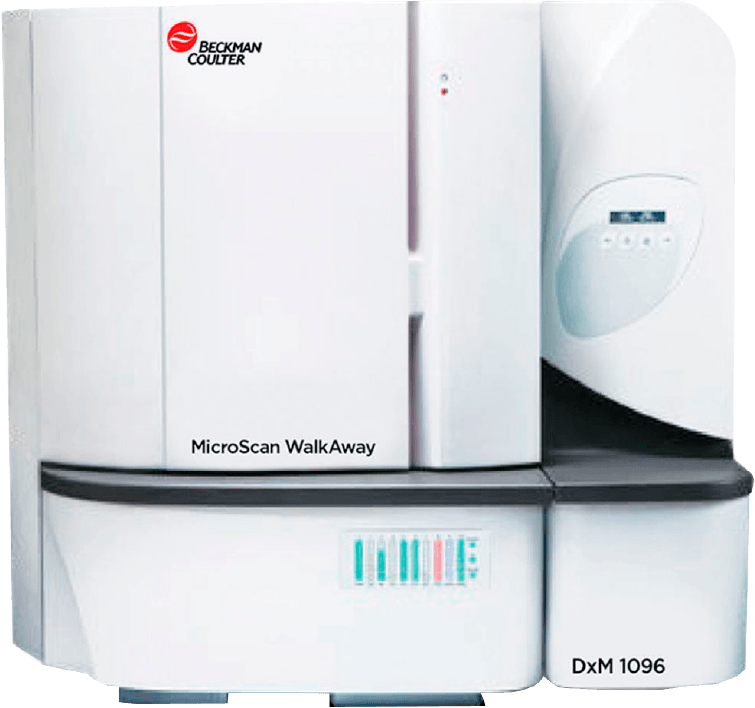 Identificación microbiana