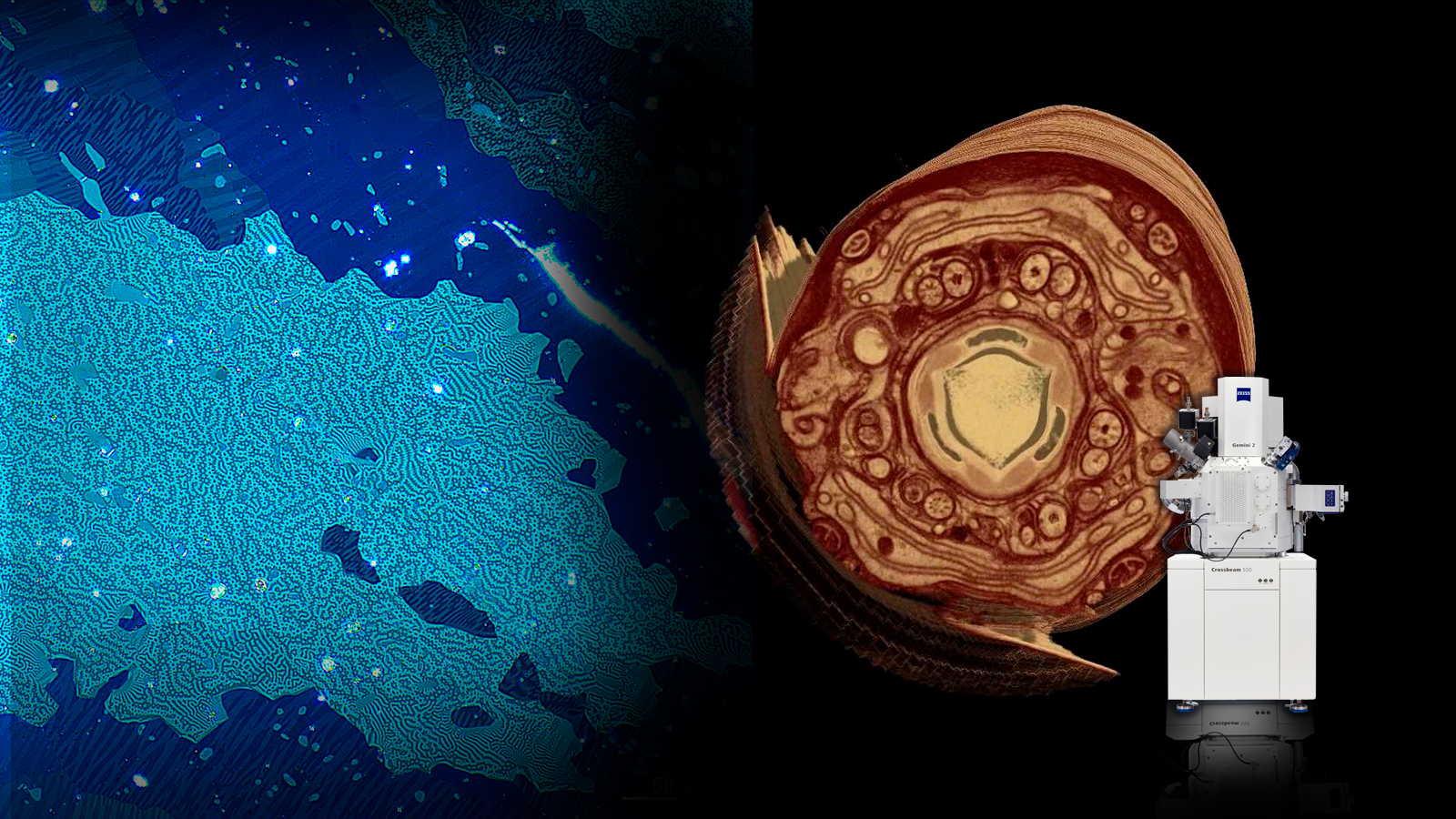 Microscopios Crossbeam