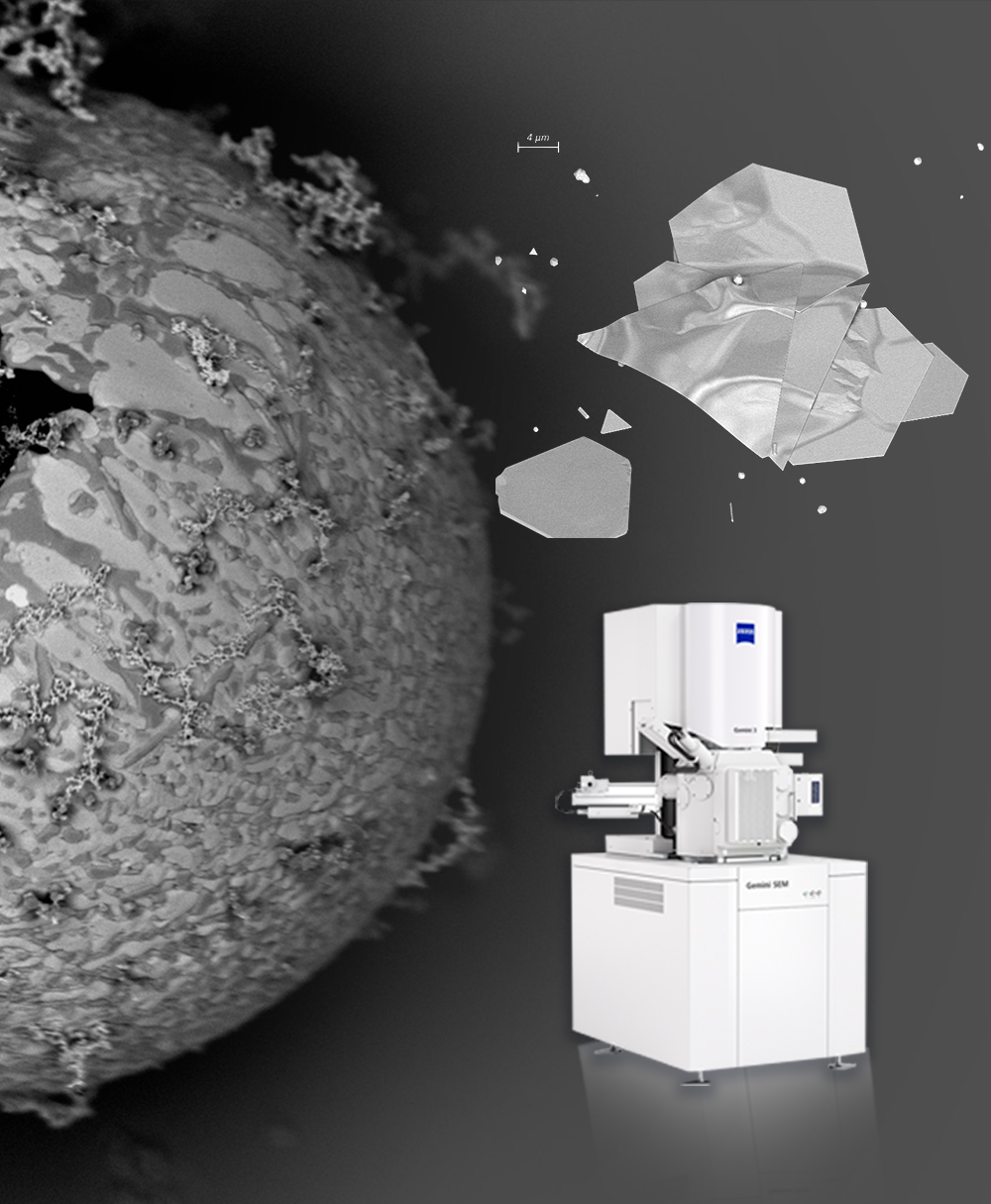 Microscopios GeminiSEM