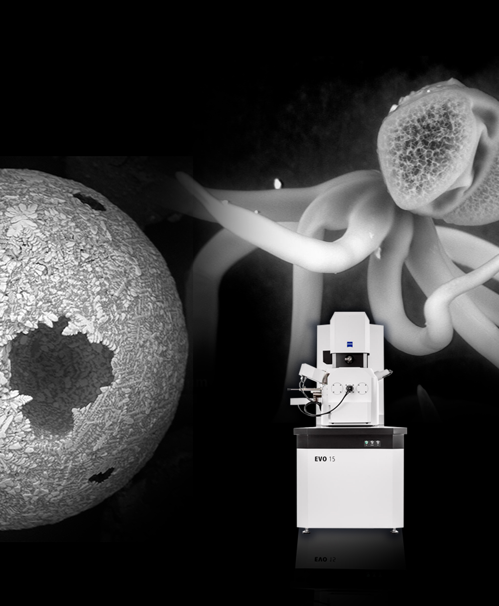 Microscopios SEM EVO