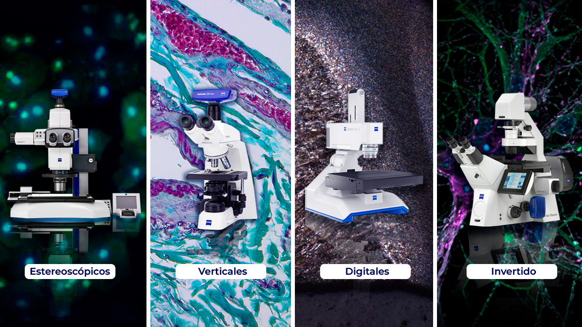 Serie microscopía óptica
