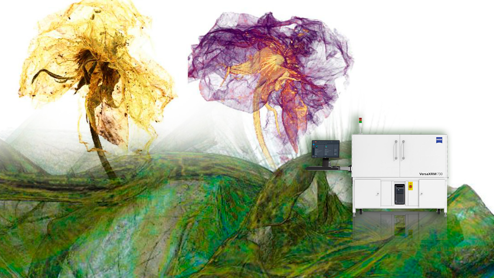 Microscopios Rayos X Versa