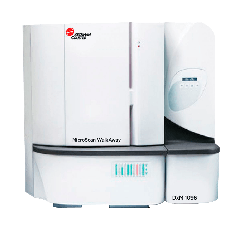 Identificación microbiana