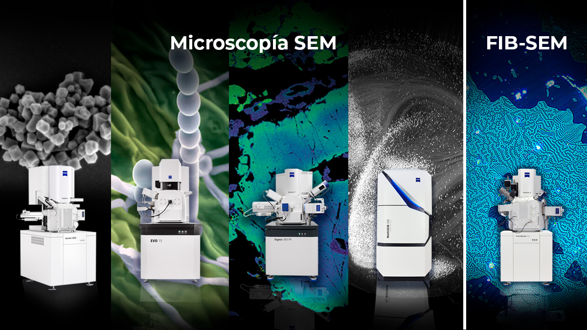 Serie microscopía electrónica