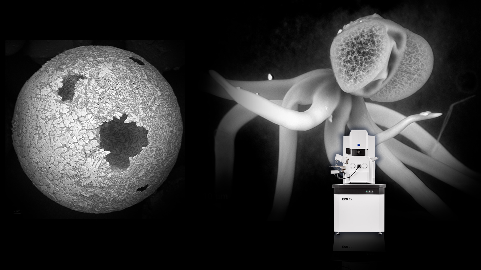 Microscopios SEM EVO