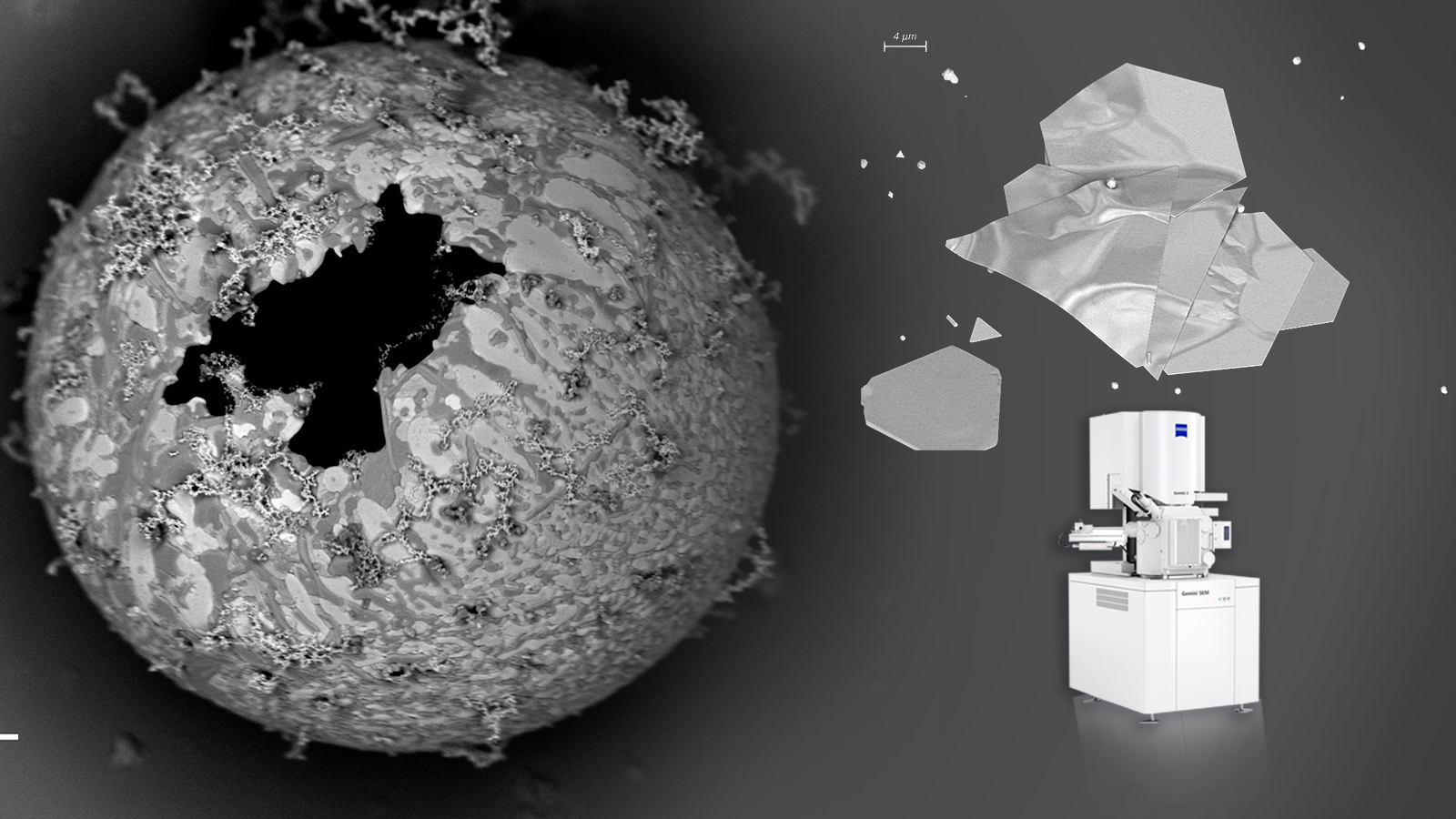 Microscopios GeminiSEM