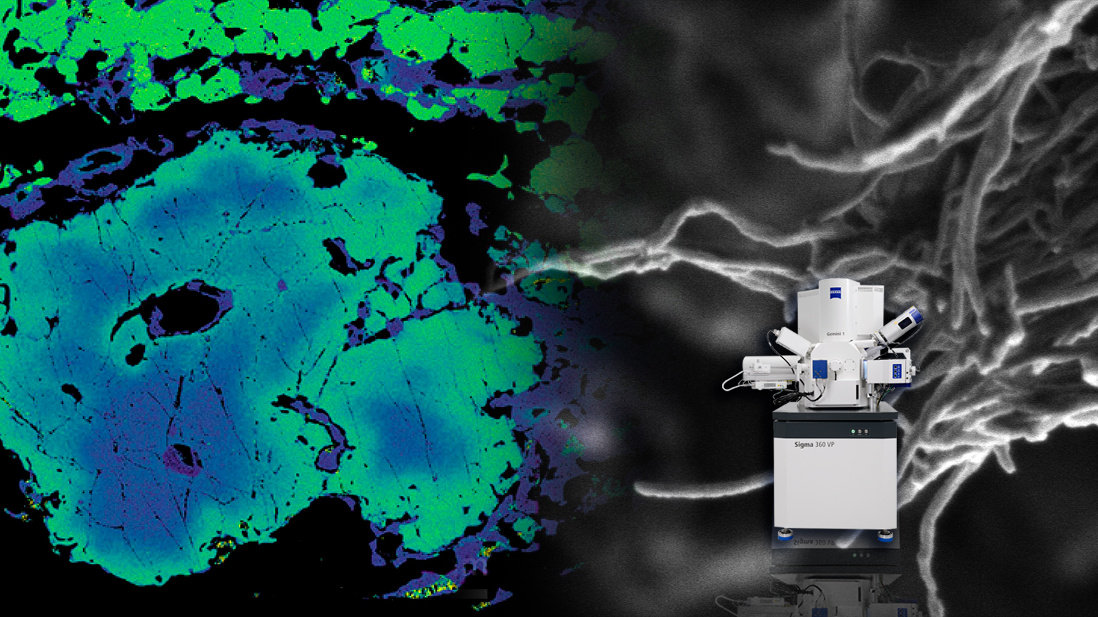 Microscopios SEM Sigma