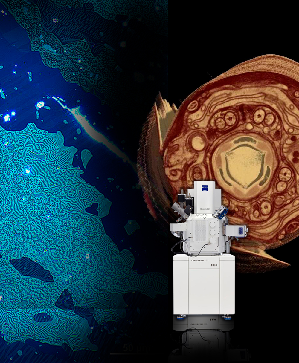 Microscopios Crossbeam