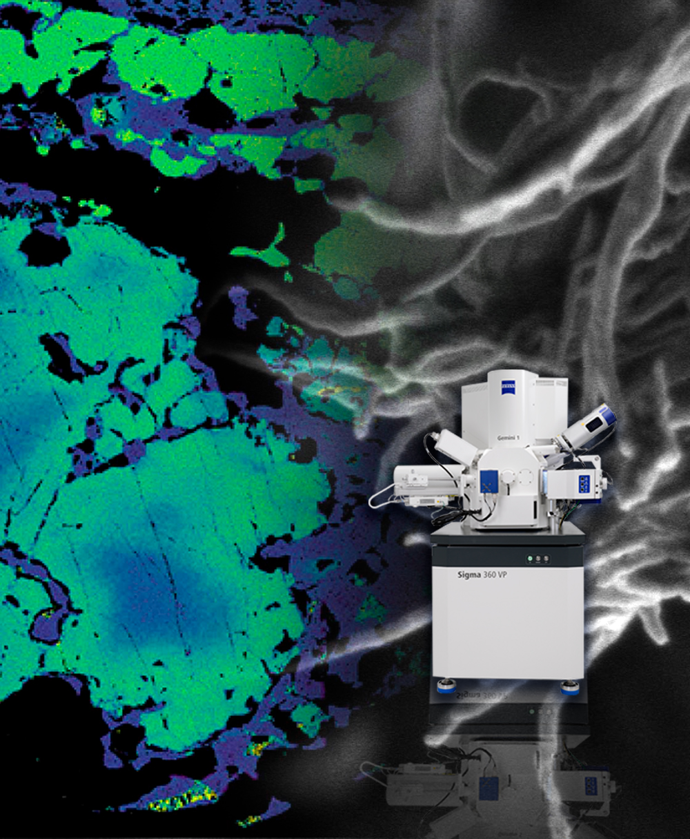 Microscopios SEM Sigma